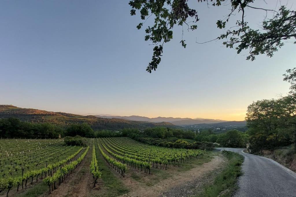 Vue De Rennes-Le-Chateau Couiza エクステリア 写真