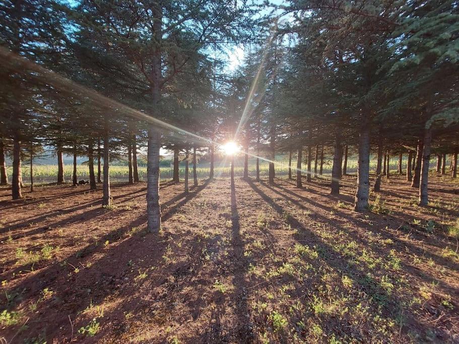 Vue De Rennes-Le-Chateau Couiza エクステリア 写真
