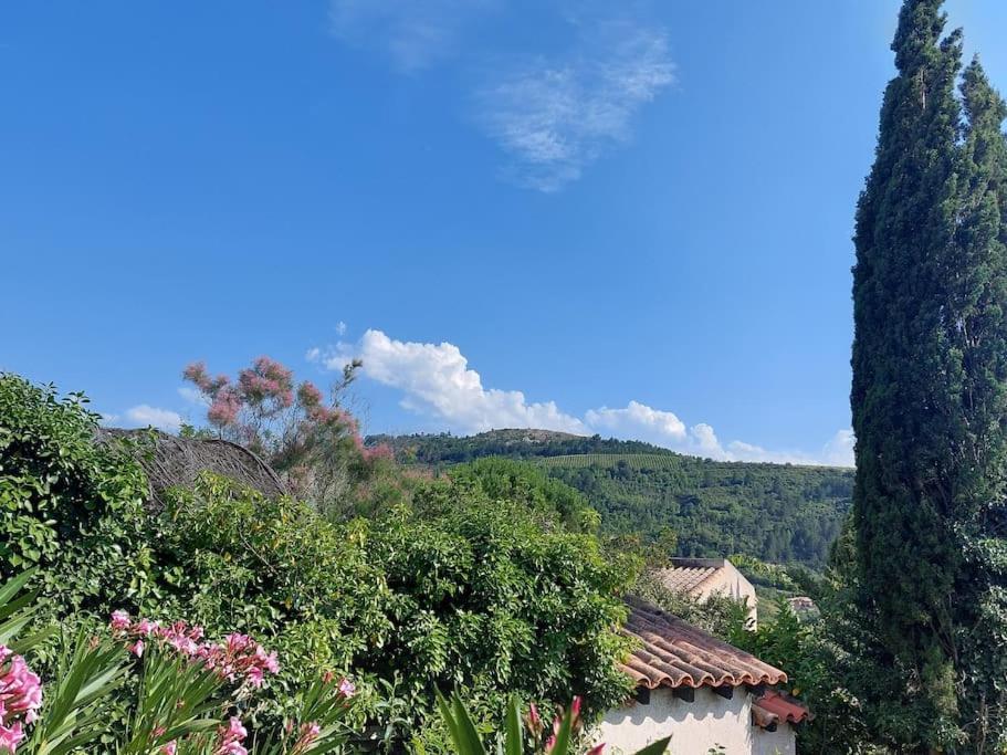 Vue De Rennes-Le-Chateau Couiza エクステリア 写真