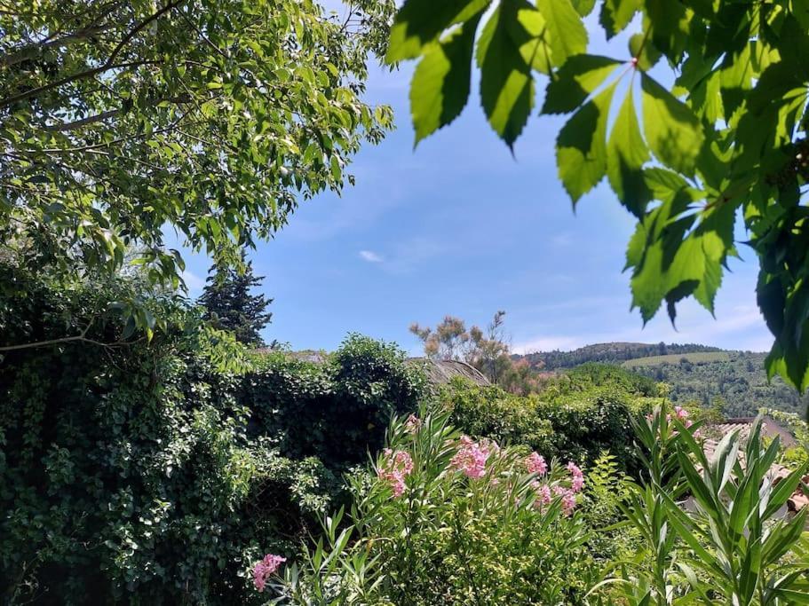 Vue De Rennes-Le-Chateau Couiza エクステリア 写真