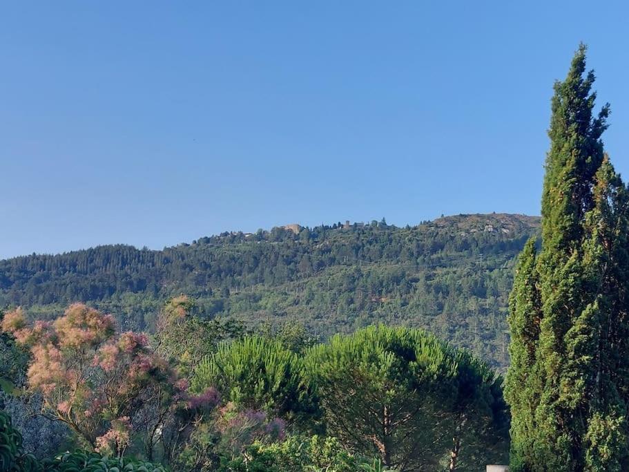 Vue De Rennes-Le-Chateau Couiza エクステリア 写真